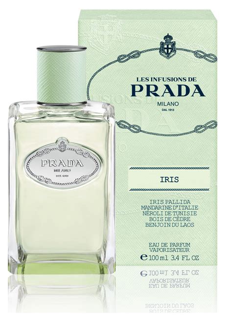 prada infusion d'iris equivalente|Altro.